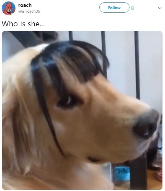 Roach a_roach06 follow who is she.