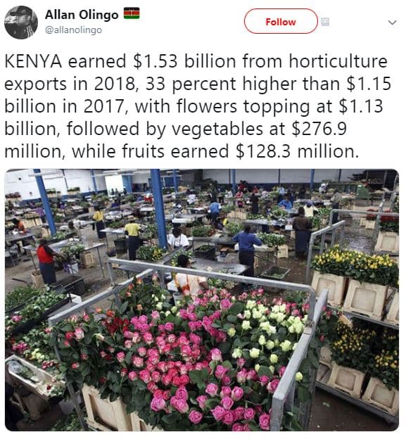 Allan olingo allanolingo follow kenya earned 1.53 billion from horticulture expo