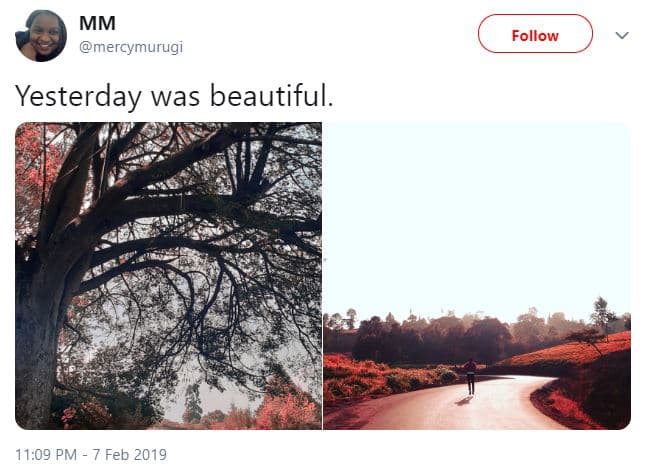 Mm mercymurugi follow yesterday was beautiful. 11.09 pm 7 feb