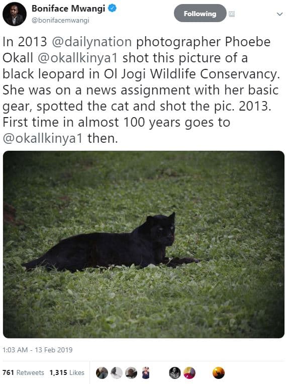 Boniface mwangi bonifacemwangi following in dailynation photographer phoebe okal