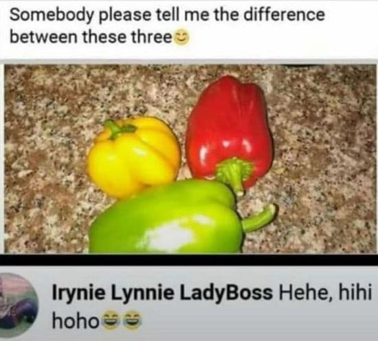 Somebody please tell me the difference between these three irynie lynnie ladybos