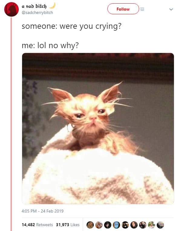 A sad bitch sadcherrybitch follow someone were you crying? me lol no why? 4,05 p