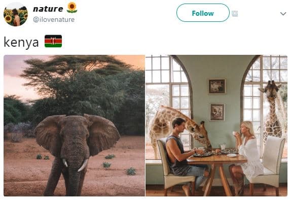Nature ilovenature follow kenya