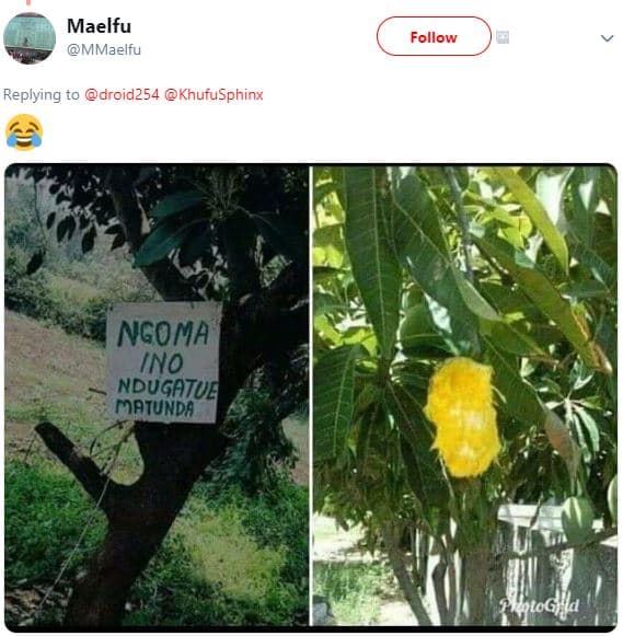 Maelfu mmaelfu follow replying to droid254 khufusphinx ngoma ino ndugatue mptund