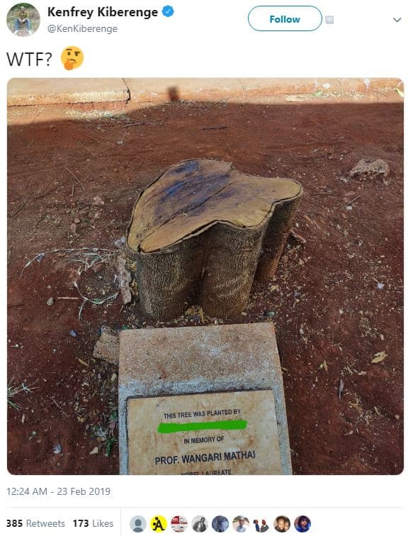 Kenfrey kiberenge kenkiberenge follow wtf? this tree 'as planted by inwemioryof