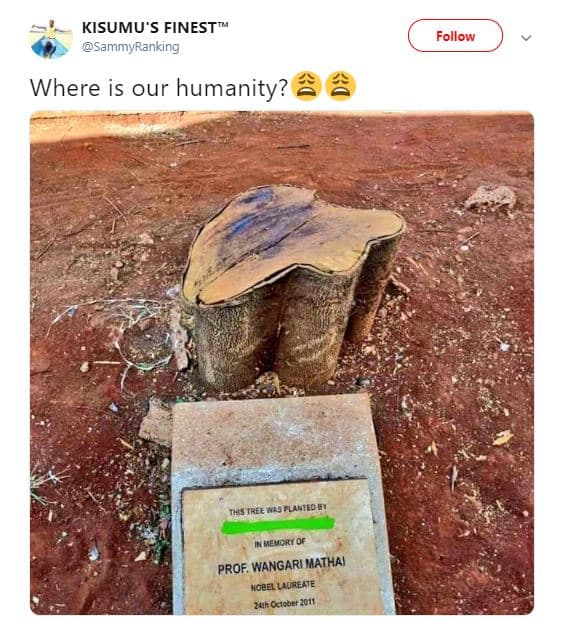 Kisumu's finest sammyranking follow where is our humanity? 7k5 tree was flakted