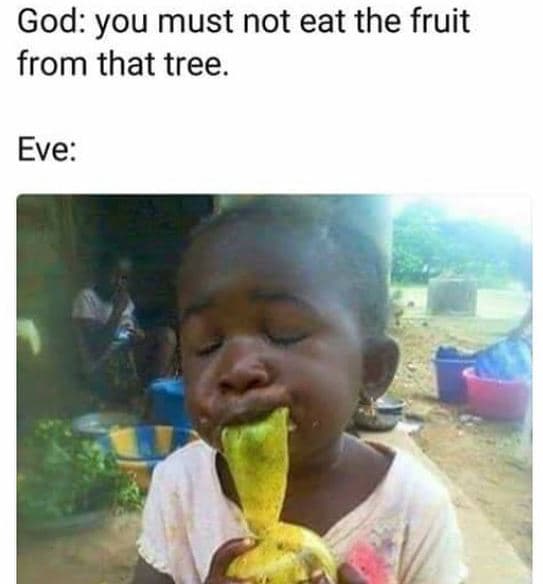 God you must not eat the fruit from that tree. eve