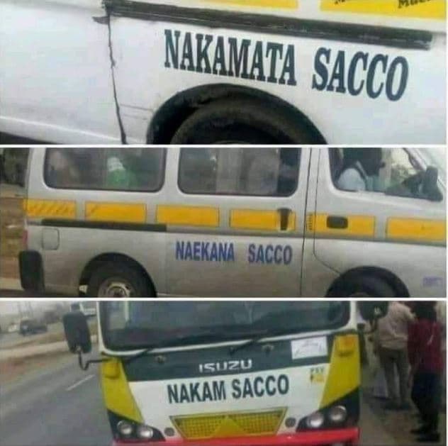 Naekana sacco 'suzu nakam sacco nakamaia sacco