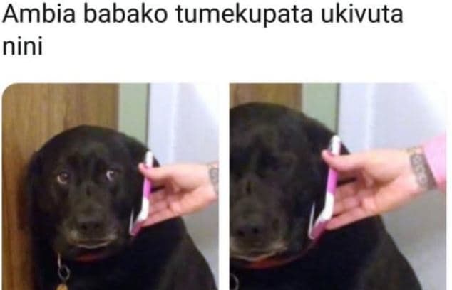 Ambia babako tumekupata ukivuta nini