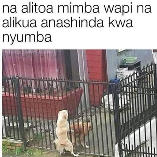 Na alitoa mimba wapi na alikua anashinda kwa nyumba