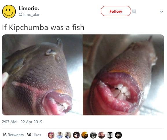Limorio. limo_alan follow if kipchumba was a fish 2.07 am 22 apr 16 retweets 30