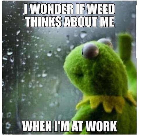 Wonderifweed thinksaboutme when fmat work