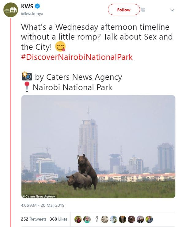 Kws kwskenya follow what's a wednesday afternoon timeline without a little romp?