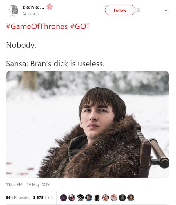 Iq r q _lara_al follow gameofthrones got nobody sansa bran's dick is useless 11.