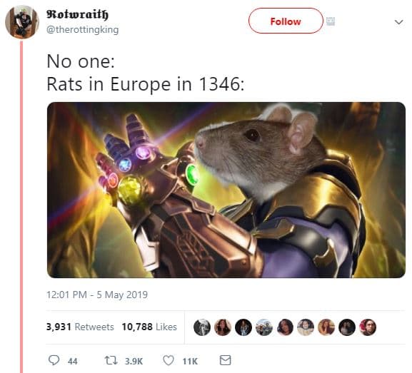 Sotwraitb therottingking follow no one rats in europe in 12.01 pm 5 may 3,931 re