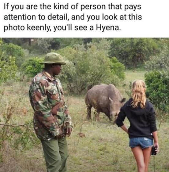 If you are the kind of person that pays attention to detail, and you look at thi