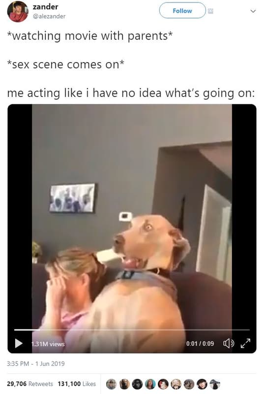 Zander alezander follow watching movie with parents sex scene comes on me acting