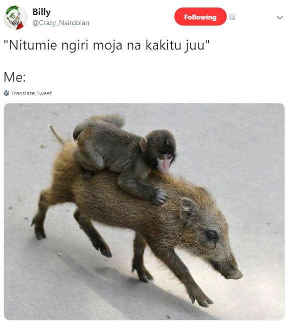 Following billy crazy_nairobian nitumie ngiri moja na kakitu juu me translate tw