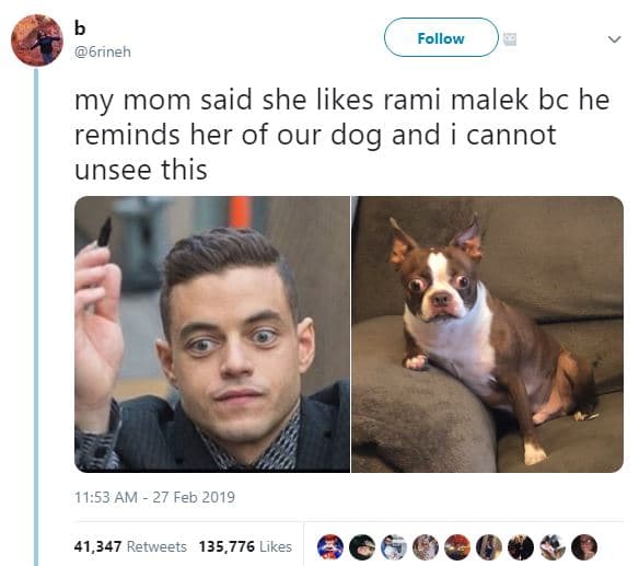 Follow 6rineh my mom said she likes rami malek bc he reminds her of our dog and