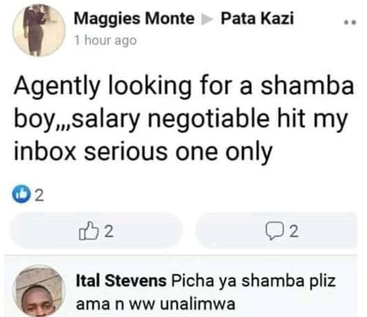 Maggies monte pata kazi hour ago agently looking for a shamba boymsalary negotia