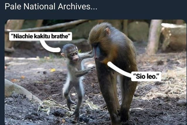 Pale national archives_ 'niachie kakitu brathe 'sio leo