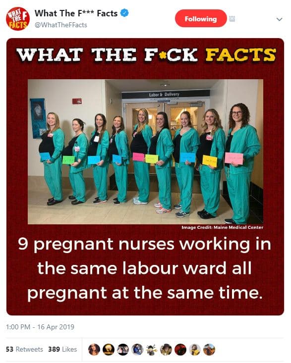 What the f facts whattheffacts following what the fck facts lahnr dcliverv image