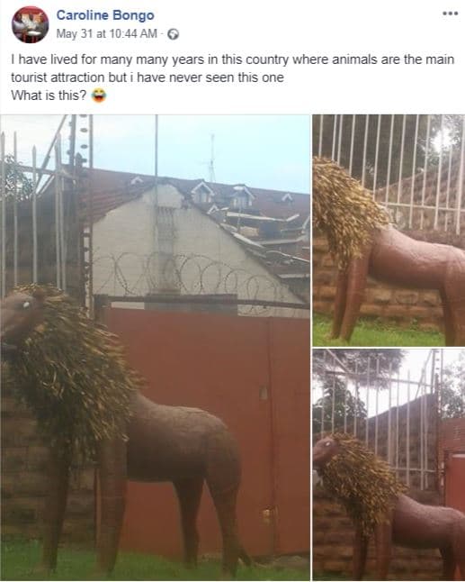 Caroline bongo may 31 at 10.44 am have lived for many many years in this country