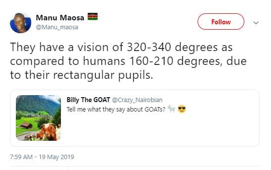 Manu maosa manu_maosa follow they have a vision of 320340 degrees as compared to