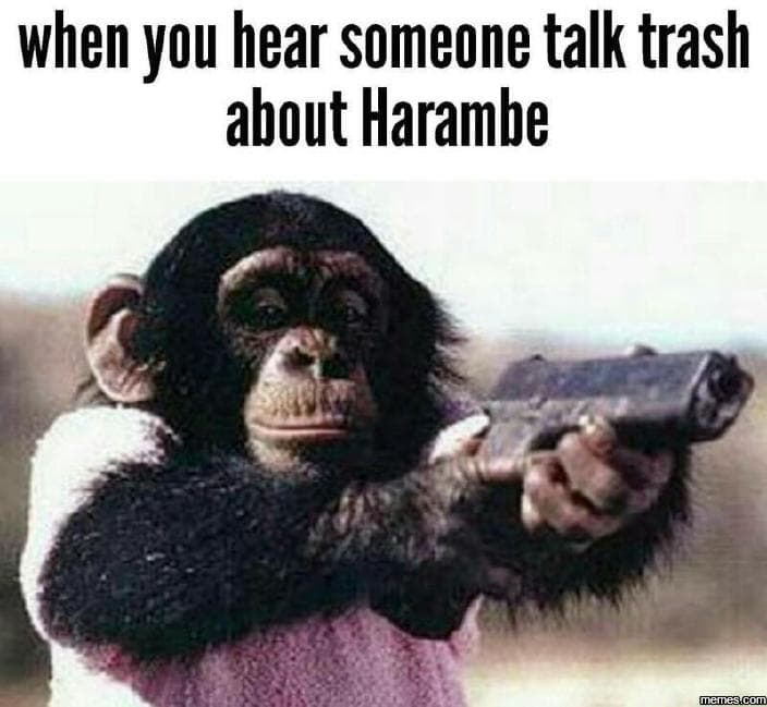 When you hear someone talk trash about harambe memeacom
