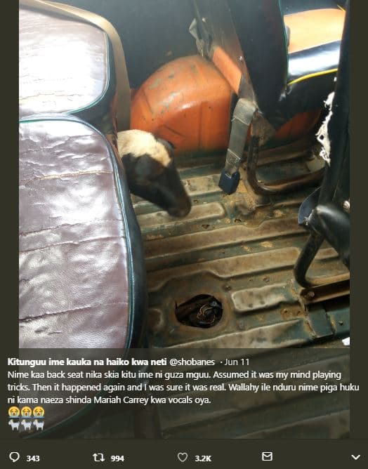 Kitunguu , ime kauka na haiko kwa neti shobanes jun 11 nime kaa back seat nika s