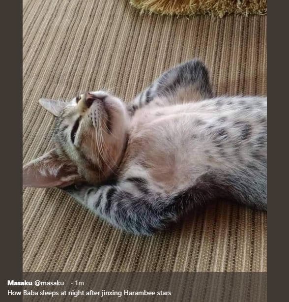 Masaku masaku im how baba sleeps at night after jinxing harambee stars