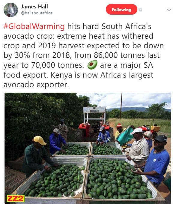 James hall hallaboutafrica following globalwarming hits hard south africa's avoc