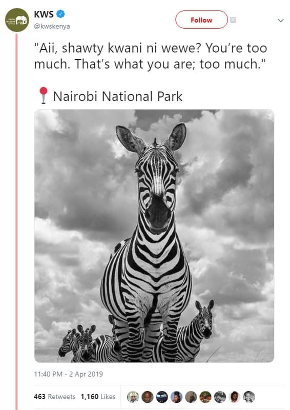 Kws kwskenya follow aii, shawty kwani ni wewe? you're too much. that's what you