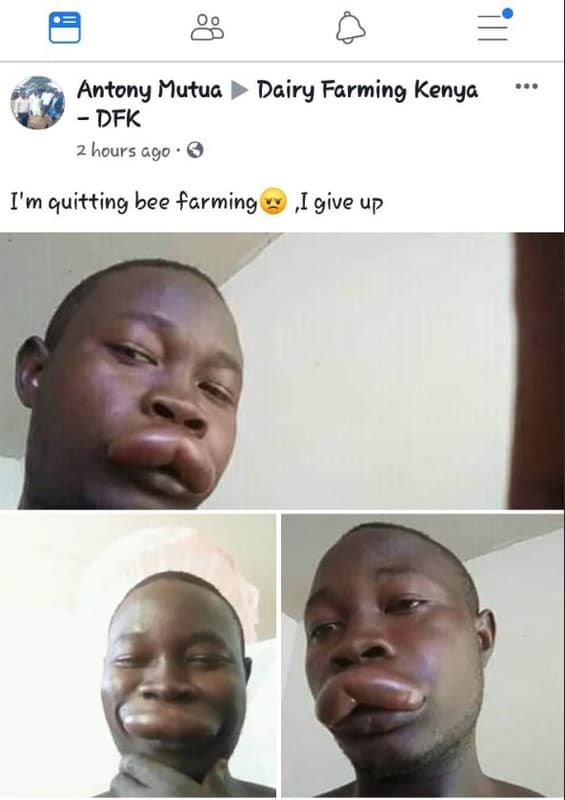 Antony mutua dairy farming kenya dfk hours gg0 i'm quitting bee farming igive up