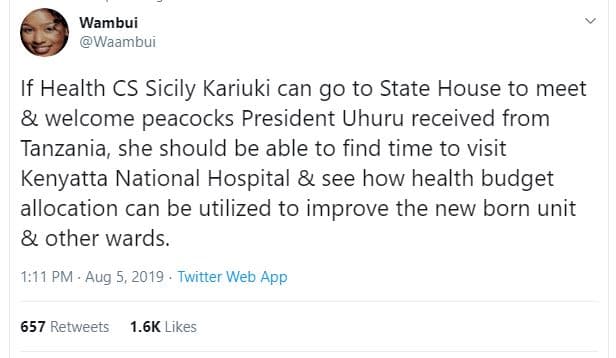 Wambui waambui if health cs sicily kariuki can go to state house to meet welcome