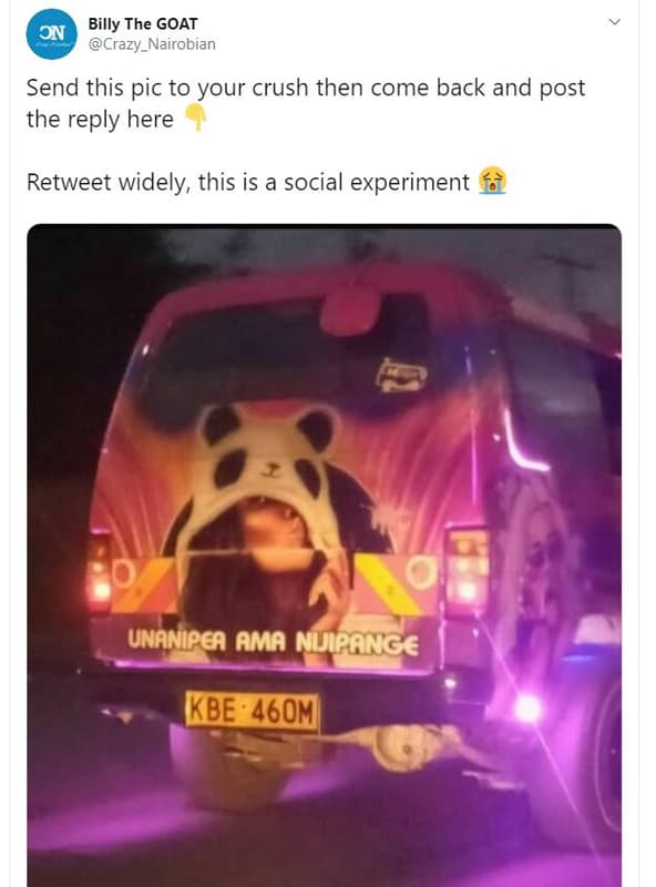 Billy the goat on crazy_nairobian send this pic to your crush then come back and