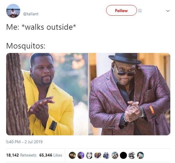 Follow tallant me walks outside mosquitos 5,40 pm 2 jul 18,142 retweets 65,346 l