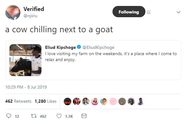 Verified njiiru following cow chilling next to a goat eliud kipchoge eliudkipcho