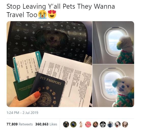 Stop leaving y'all pets they wanna travel too plt passport 1.24 pm 2 jul 77,809