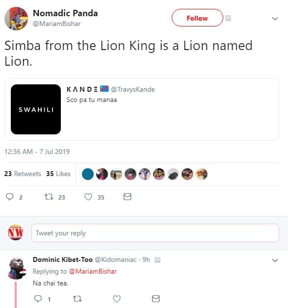 Nomadic panda mariambishar follow simba from the lion king is a lion named lion