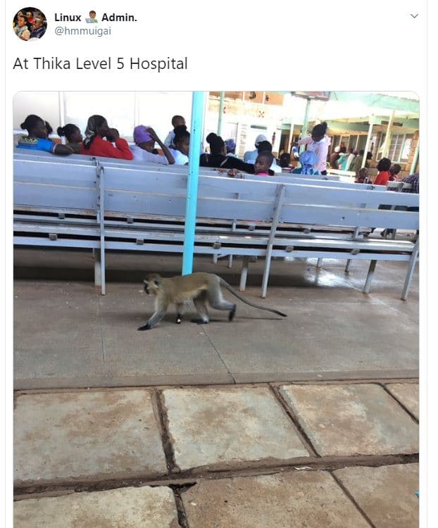 Linux admin. hmmuigai at thika level 5 hospital