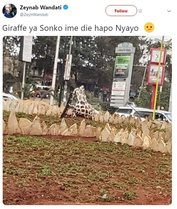 Zeynab wandati zeynwandati follow giraffe ya sonko ime die hapo nyayo