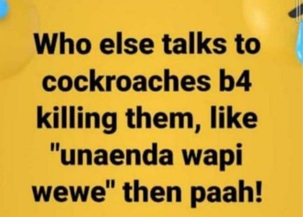 Who else talks to cockroaches b4 killing them, like unaenda wapi wewe then paah!