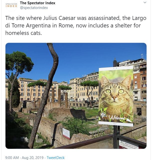 The spectator index inb spectatorindex the site where julius caesar was assassin