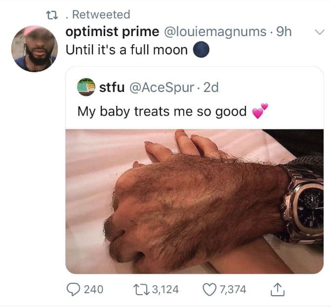 12 retweeted optimist prime louiemagnums 9h until it's a full moon stfu acespur