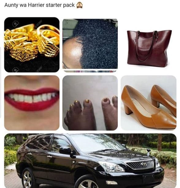 Aunty wa harrier starter pack