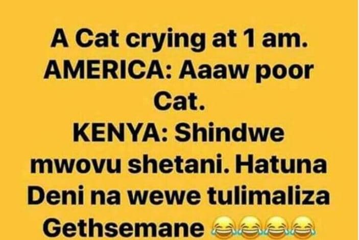 A cat crying at 1 am. america aaaw poor cat. kenya shindwe mwovu shetani. hatuna