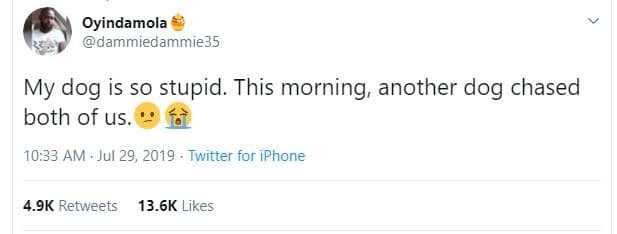 Oyindamola dammiedammie35 my dog is s0 stupid. this morning another dog chased b