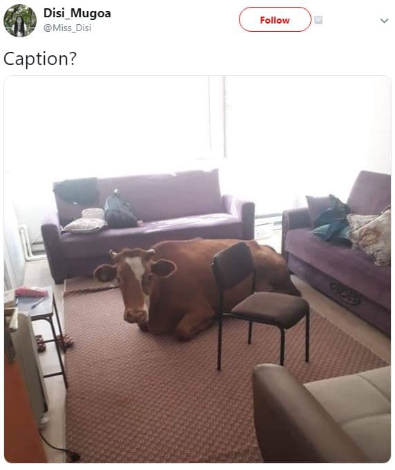 Disi_mugoa miss_disi follow caption?