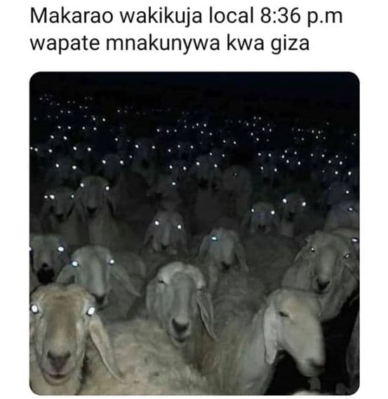 Makarao wakikuja local 8.36 p.m wapate mnakunywa kwa giza